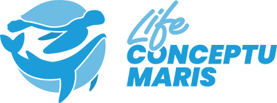 Life Conceptu Maris